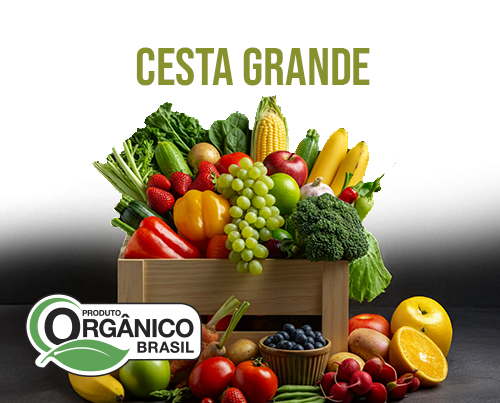 Cesta orgânica com 14 itens