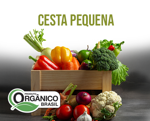 Cesta orgânica com 7 itens